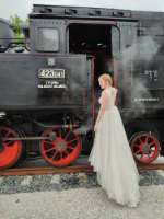 Lokomotiva 423.041 - galerie.