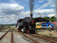 Lokomotiva 423.041 - galerie.