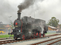 Lokomotiva 423.041 - galerie.