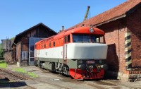 Lokomotiva 423.041 - galerie.