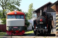 Lokomotiva 423.041 - galerie.