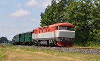 Lokomotiva 423.041 - galerie.