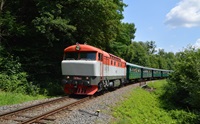 Lokomotiva 423.041 - galerie.